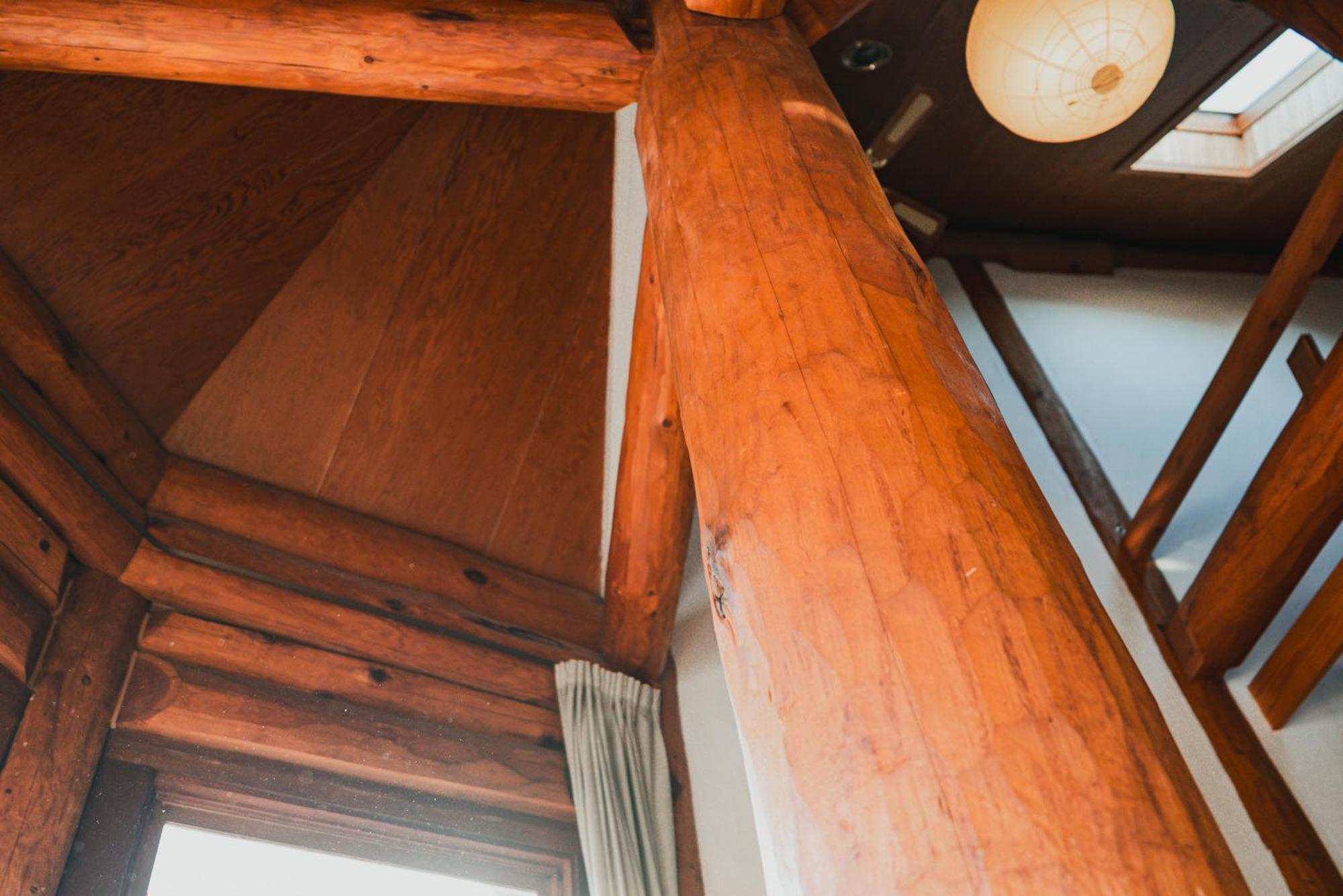 Hakuba Brownie Cottages Bagian luar foto